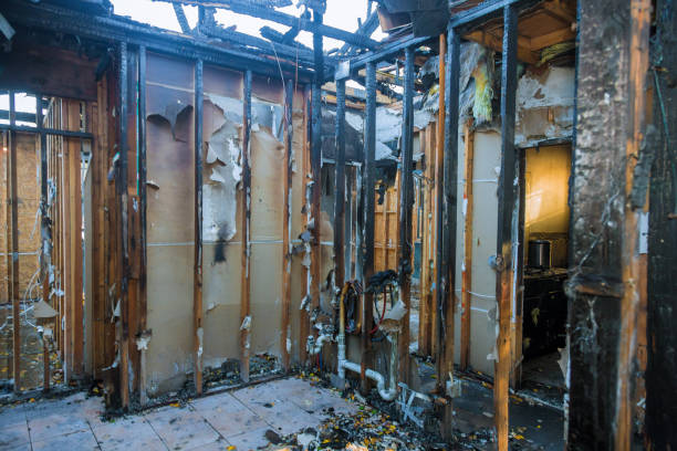 Professional Fire Damage Removal technician working in Osakis, MN